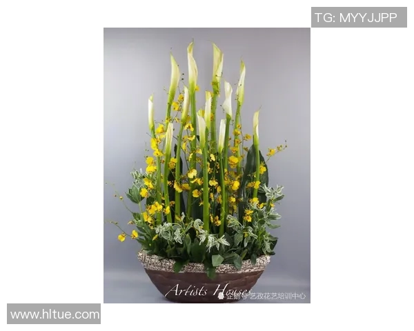 飞盘新手必看：从零基础到实力提升的全面攻略与技巧分享