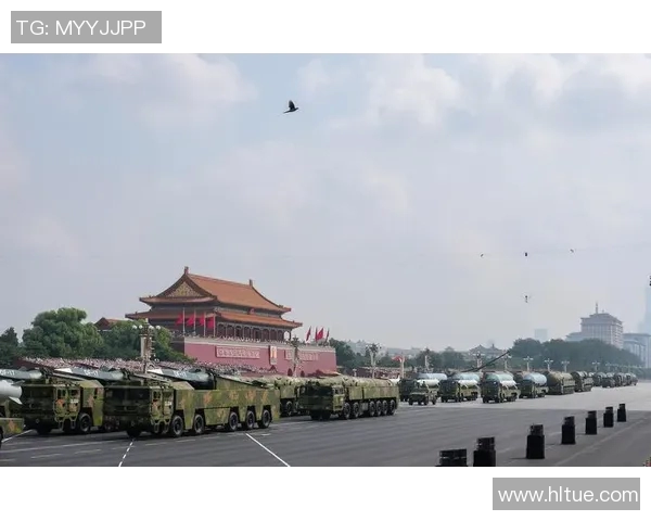 南京排球队的奋斗历程与荣耀时刻全景纪实