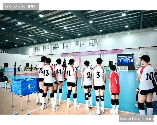 上海排球队在精英赛中的战术运用与表现分析