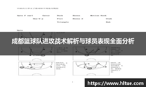 c7app官网版下载